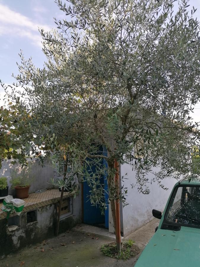 Apartament Casa Beatrice Spilimbergo Zewnętrze zdjęcie